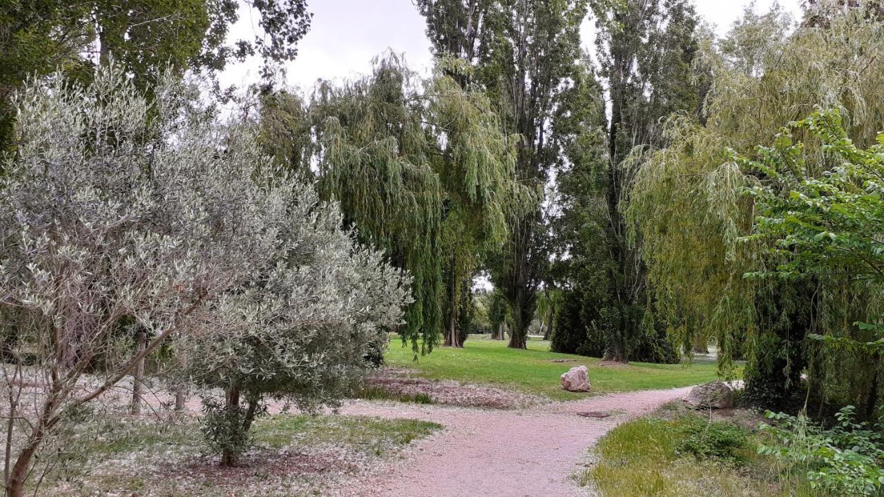 Studio 24 M2 - Hameaux De Camargue - Village 9 - 13200 阿爾勒 外观 照片