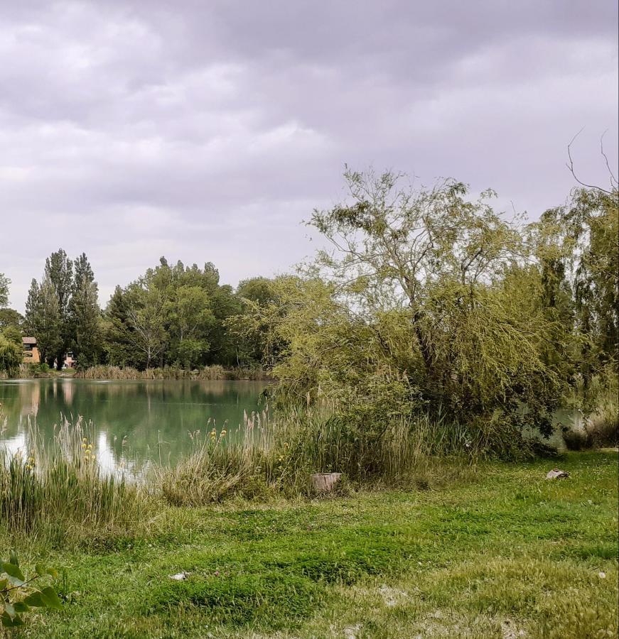Studio 24 M2 - Hameaux De Camargue - Village 9 - 13200 阿爾勒 外观 照片