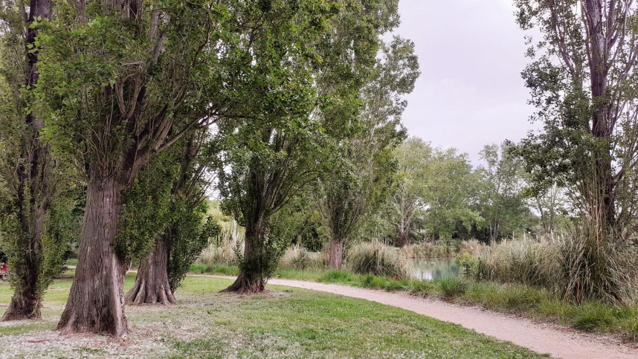 Studio 24 M2 - Hameaux De Camargue - Village 9 - 13200 阿爾勒 外观 照片