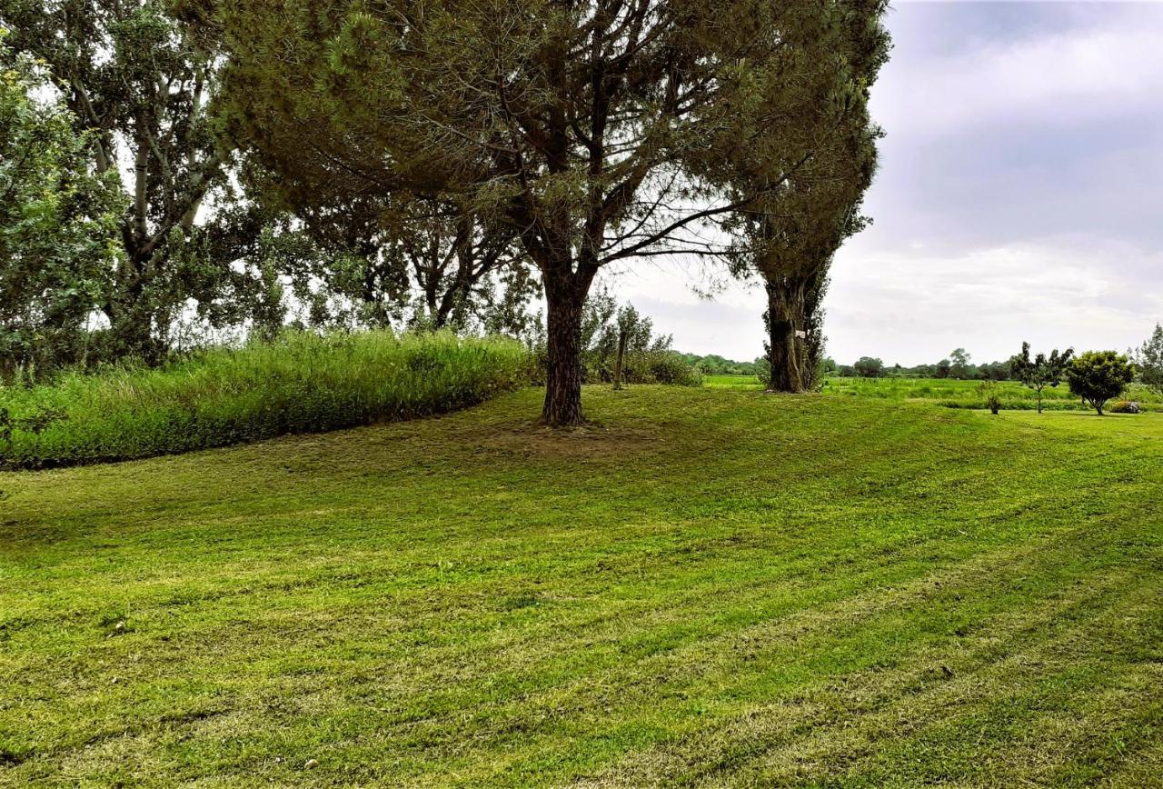 Studio 24 M2 - Hameaux De Camargue - Village 9 - 13200 阿爾勒 外观 照片